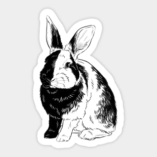 Harlequin Bunny Sticker